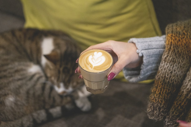 拿铁咖啡就是那个女孩拿在手里的图片下载