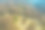蜿蜒的山路在树木繁茂的地区。生态方法图片下载