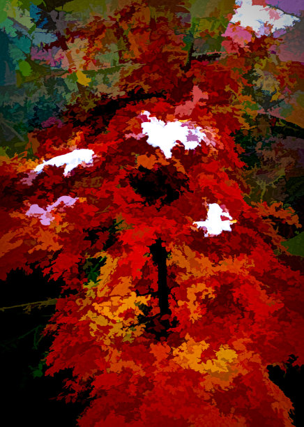 山毛榉树上的雪的抽象表现图片下载