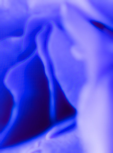 有机抽象的玫瑰形象图片下载