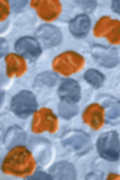 彩色抽象的丙烯酸颜料背景图片下载