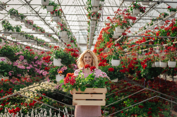 年轻女子在温室里工作，手里拿着装满鲜花的木箱图片下载