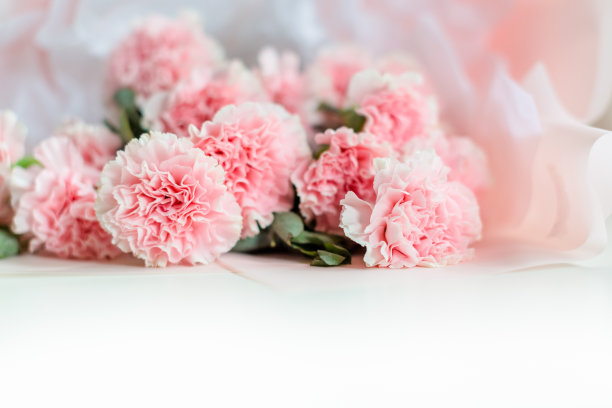 桌上有一束粉红色的康乃馨图片下载