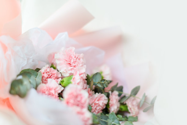 美丽的母亲节康乃馨图片下载