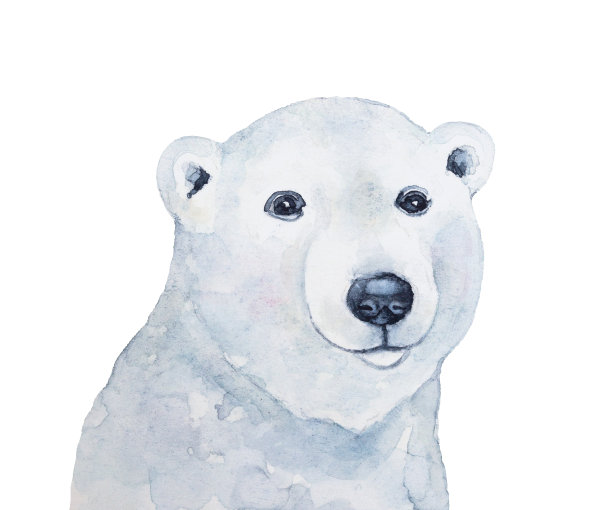可爱的小微笑北极熊幼崽水彩插图。北极、冬天、独立、团聚、家庭、和平的象征。图片下载