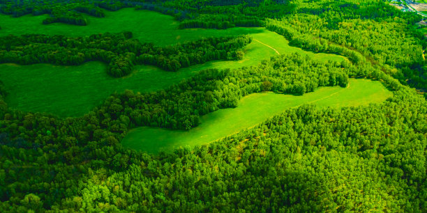 森林鸟瞰图。无人机摄影。春天。字段。可持续性。保护自然图片下载