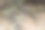 树的根。污垢图片下载