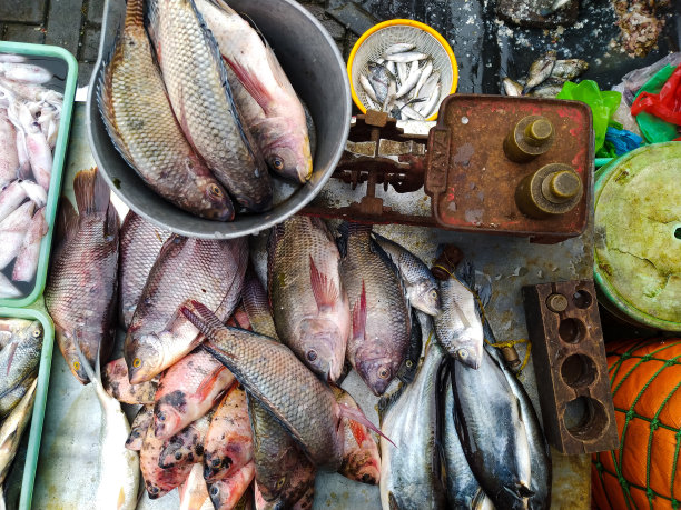 卖鲜鱼的摊位和传统的平衡图片下载