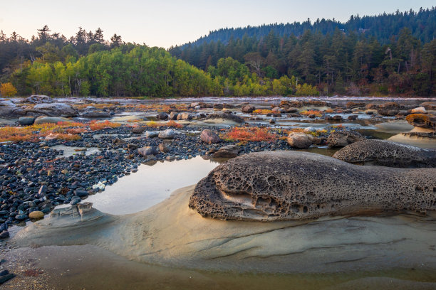 加拿大不列颠哥伦比亚省的霍恩比岛图片下载