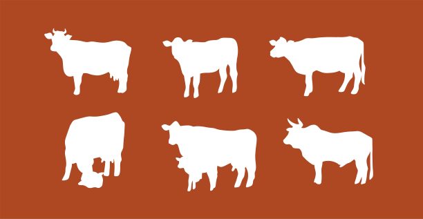 手绘抽象矢量剪贴画插图集合集可爱可爱，奶牛人物剪影。时髦的现代艺术设计理念。矢量卡通农场动物符号。卡通牛动物。图片下载