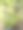 非常漂亮的绿色植物在阳光下的照片图片下载