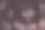 奇怪的两头郁金香在手中图片下载