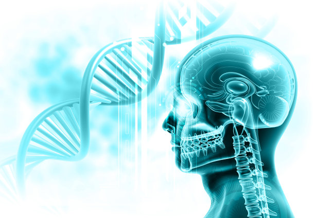 dna背景下的人头解剖图片下载