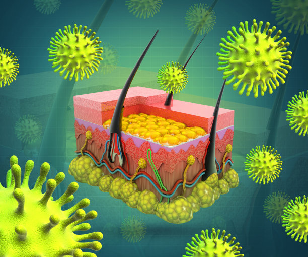 病毒性皮肤感染。三维演示图片下载