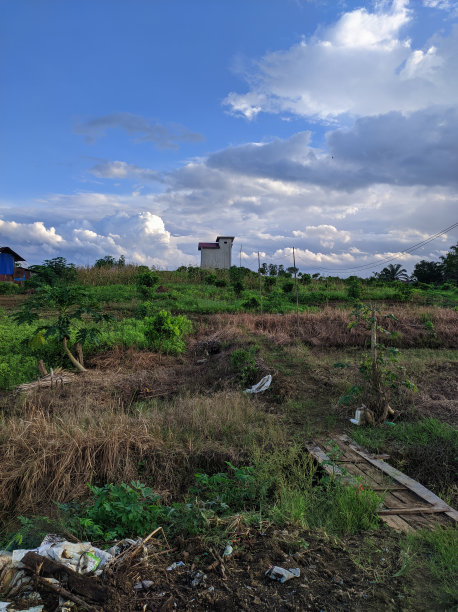 美丽的种植园景观图片下载