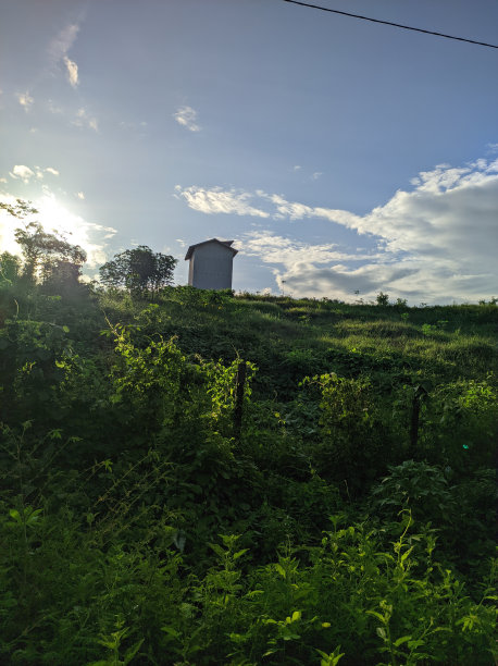 美丽的种植园景观图片下载