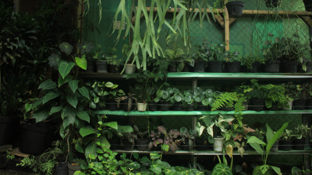 感觉新鲜图片下载