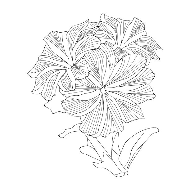 花画，花画，花线艺术，轮廓铅笔艺术，花铅笔艺术。可爱的孩子涂色页，图片下载