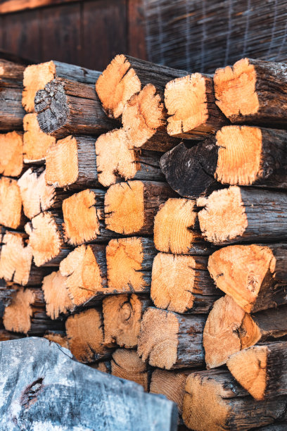 一堆木柴图片下载