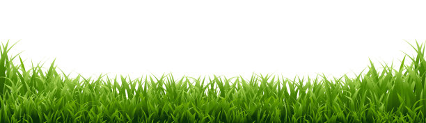 绿色的草边配上白色的背景图片下载