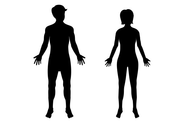人体的男性和女性载体图片下载