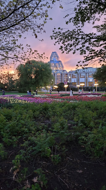 梅杰山公园的郁金香(图4)图片下载