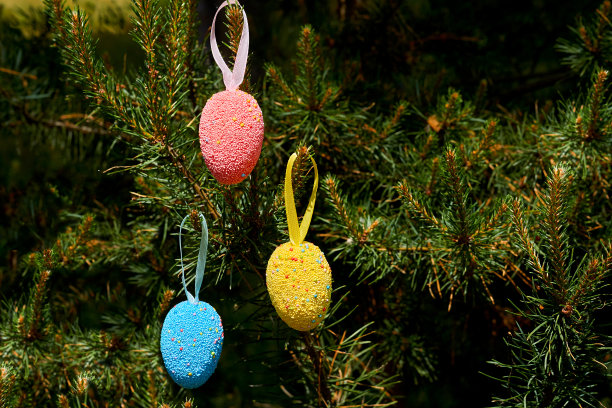 阳光明媚的春日，冷杉树枝上的五彩缤纷的复活节彩蛋图片下载