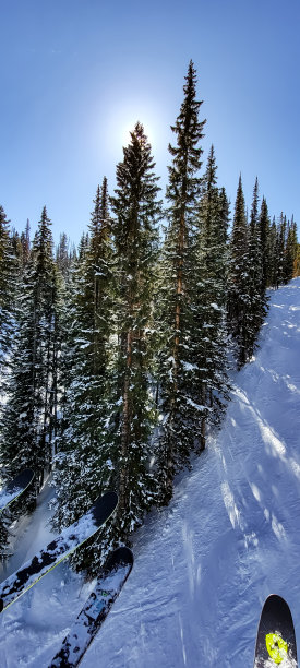 维尔的观点图片下载