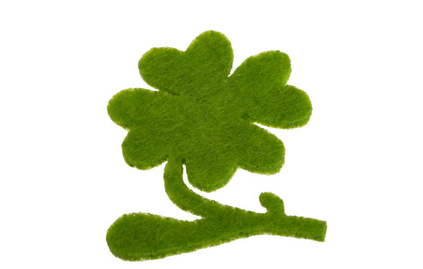 孤立的四叶草图片下载