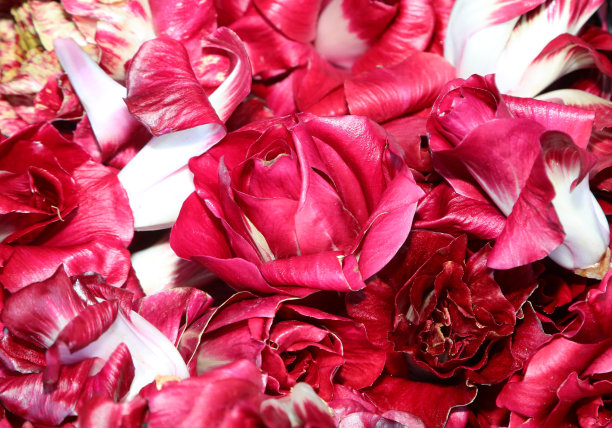 冬天菜市场里的红菊苣图片下载