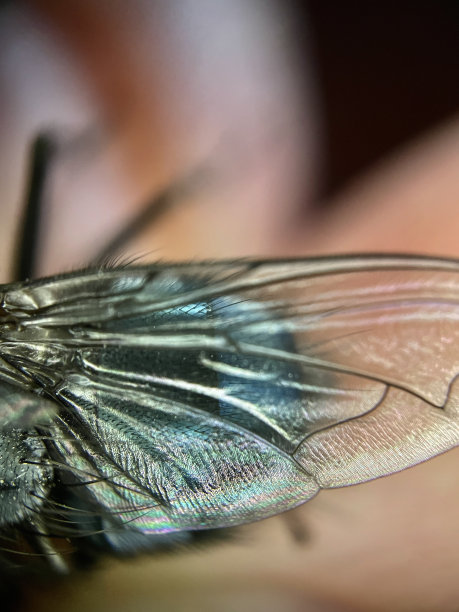 近距离飞行图片下载