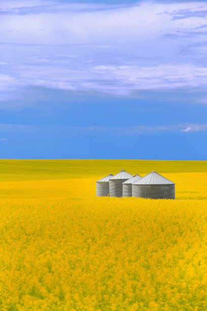 农场建筑和电梯的农业场景图片下载