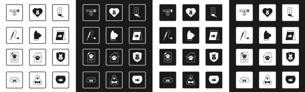 设定饮水器为小宠物猫宠物猫玩具图片下载