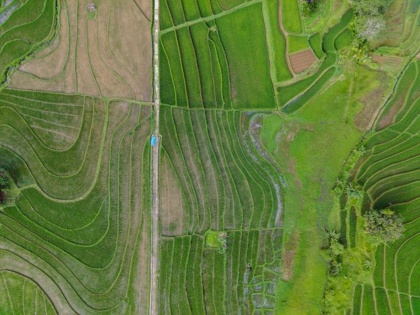 鸟瞰图美丽的早晨从印度尼西亚的山和森林图片下载