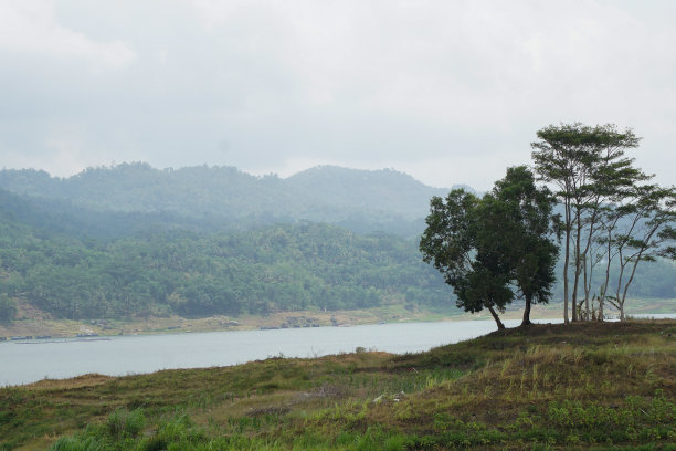 村里的自然照片图片下载
