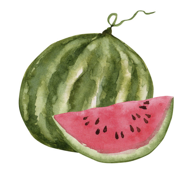 整片的熟西瓜。水彩手绘插图，孤立的白色背景图片下载