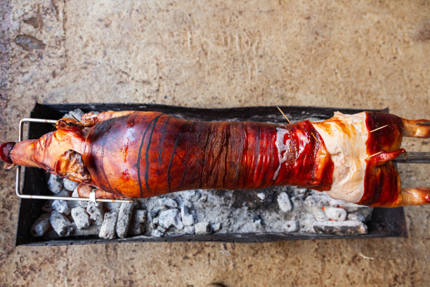 一只小猪在炭上的烤叉上烤。图片下载
