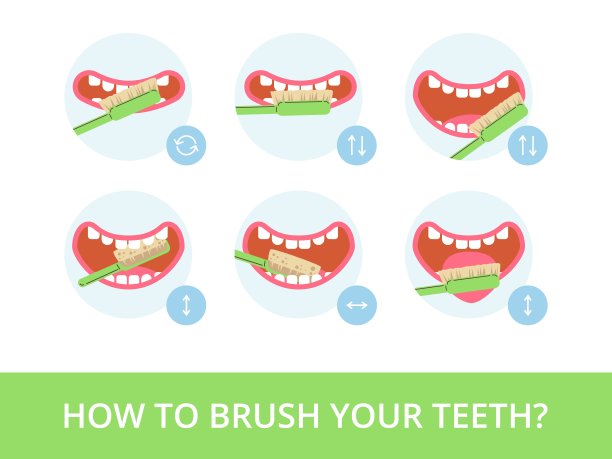 牙科保健标语上正确的刷牙方法，平矢量隔离。图片下载
