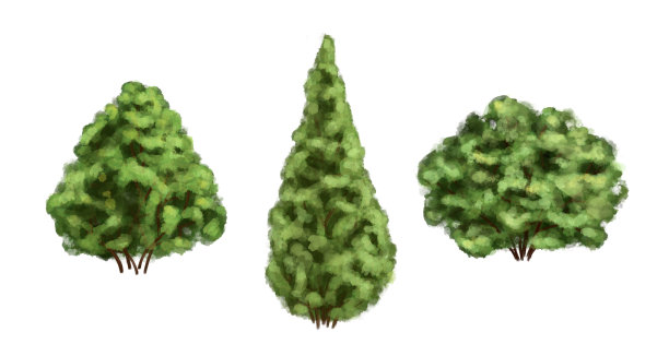 一套两个圆形的观赏花园灌木和一个圆锥形的丰富的绿色thuja。用于装饰，明信片，纺织品，小册子，贴纸图片下载