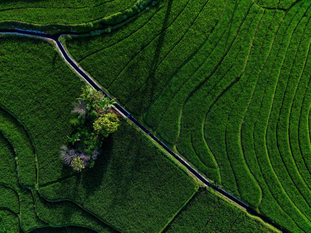 鸟瞰图美丽的早晨从印度尼西亚的山和森林图片下载