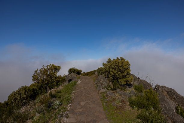 这是一条通向大雾和皮科瑞沃的美丽小路。马德拉岛最高的山。图片下载