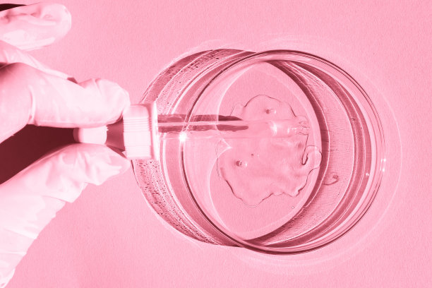 培养皿中。透明凝胶。一只戴着手套的手拿着一个分配器，一个移液器。粉红色的背景。图片下载