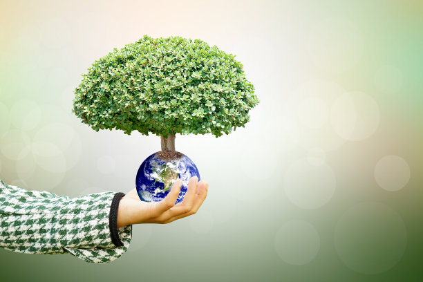 全国年度护树日。世界环境日。模糊的自然背景下，人的手牵着树和世界图片下载