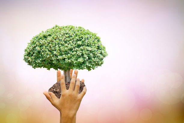 我们热爱充满创意的世界。小树木自然模糊背景。世界环境日。图片下载