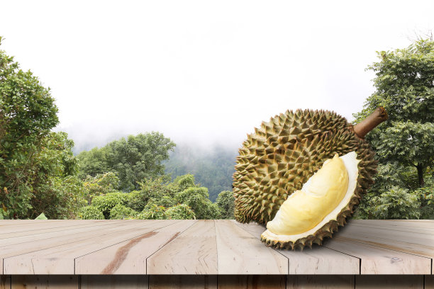 榴莲熟而鲜，榴莲皮上有黄色的旧木背景。这是一种来自泰国的水果。图片下载