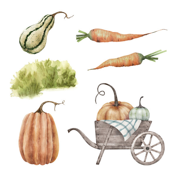 一组水彩插图，收获蔬菜，手推车里的南瓜和胡萝卜。图片下载
