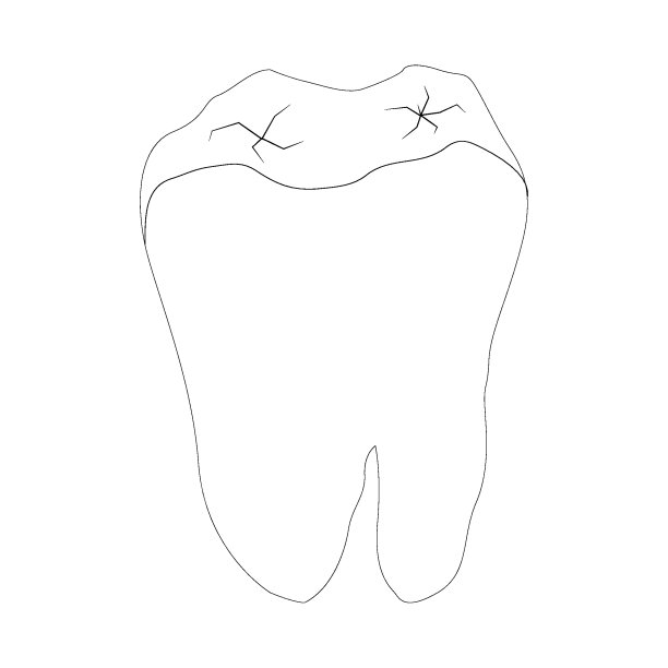 矢量牙齿图标图片下载