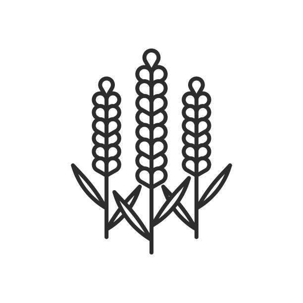 薰衣草花图标。高质量的黑色矢量插图。图片下载