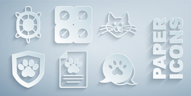 创下宠物猫动物医疗临床记录图片下载