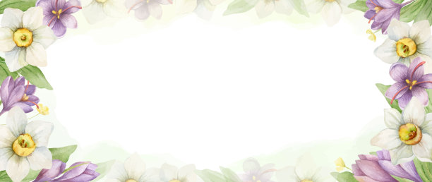 水彩矢量花横幅与花，树枝和
叶子。手绘的自然艺术，有文字的地方。完美的横幅，邀请，网络，墙，卡片。图片下载
